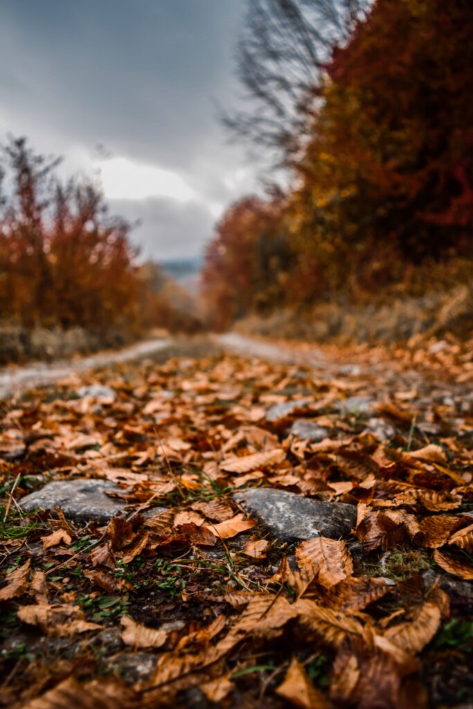full hd background