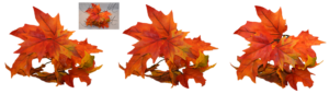 Tree Png For Picsart