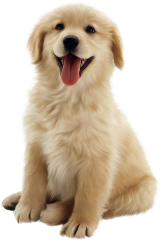 Animals png HD