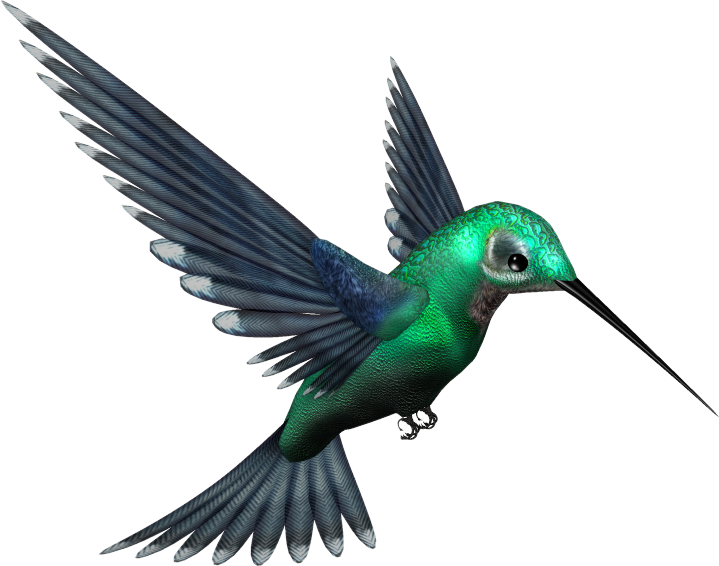 Animals png HD
