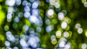 Bokeh HD Background