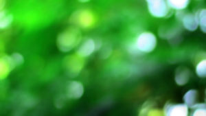 Bokeh HD Background
