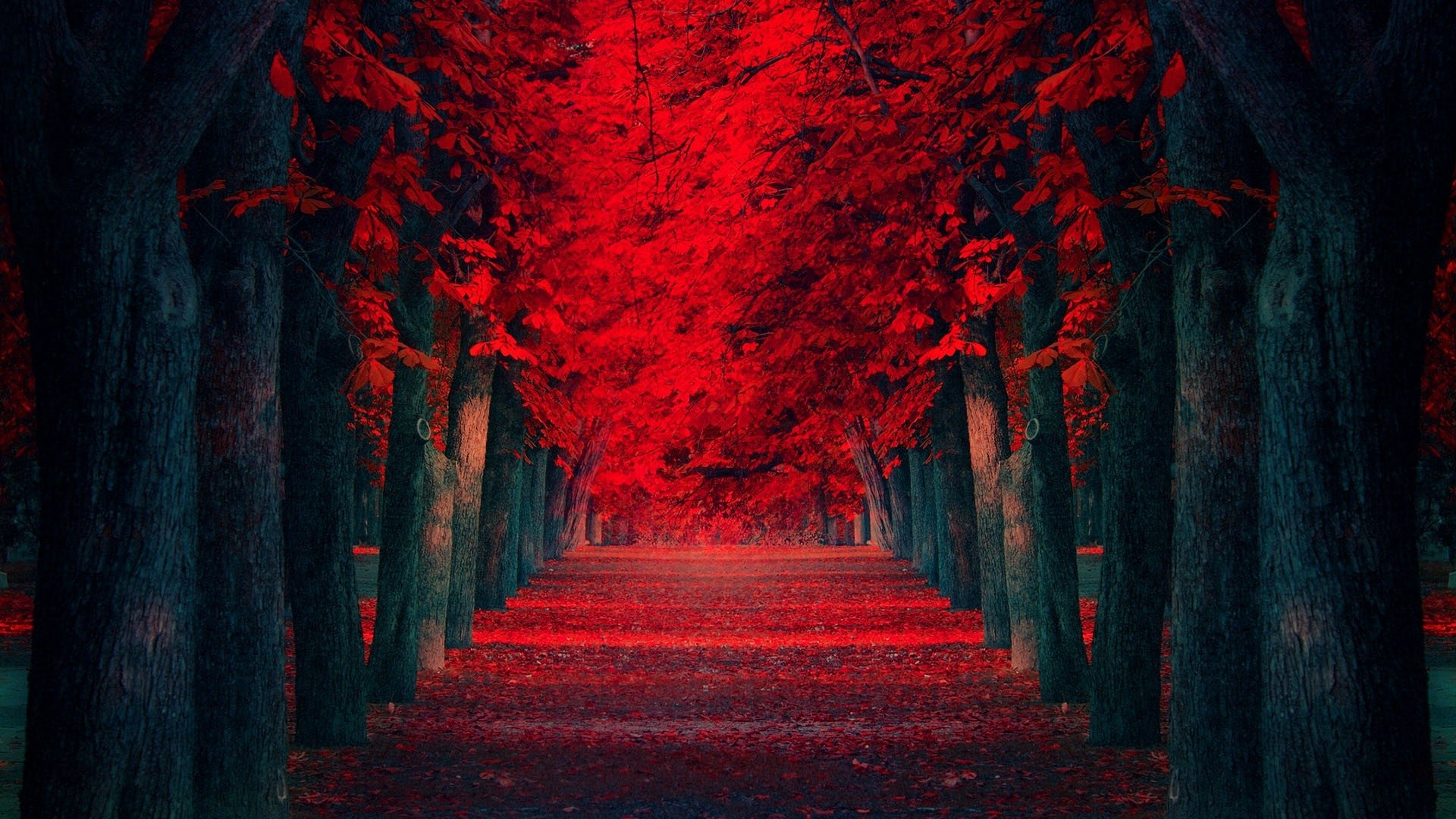 CB Edits Background