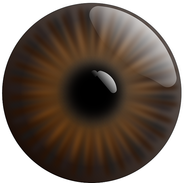 Eyes Png For picsart