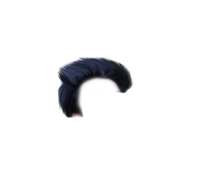 hair png