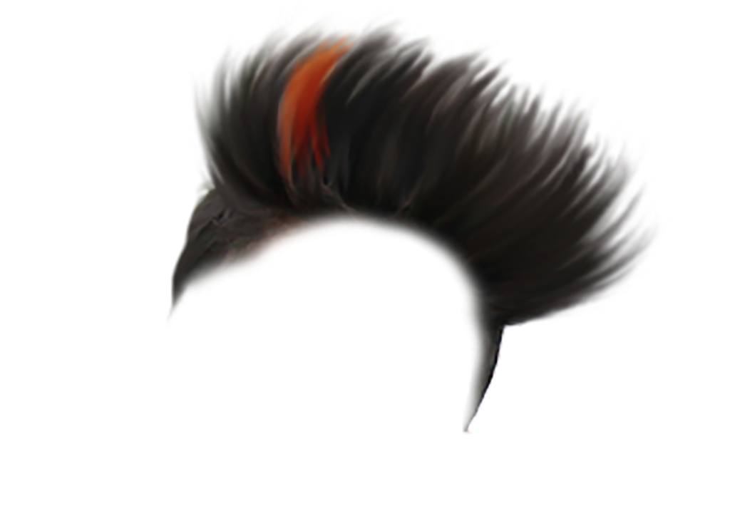 CB Hair Style png