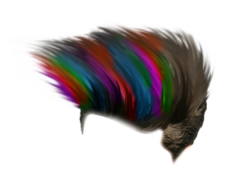 CB Hair Png