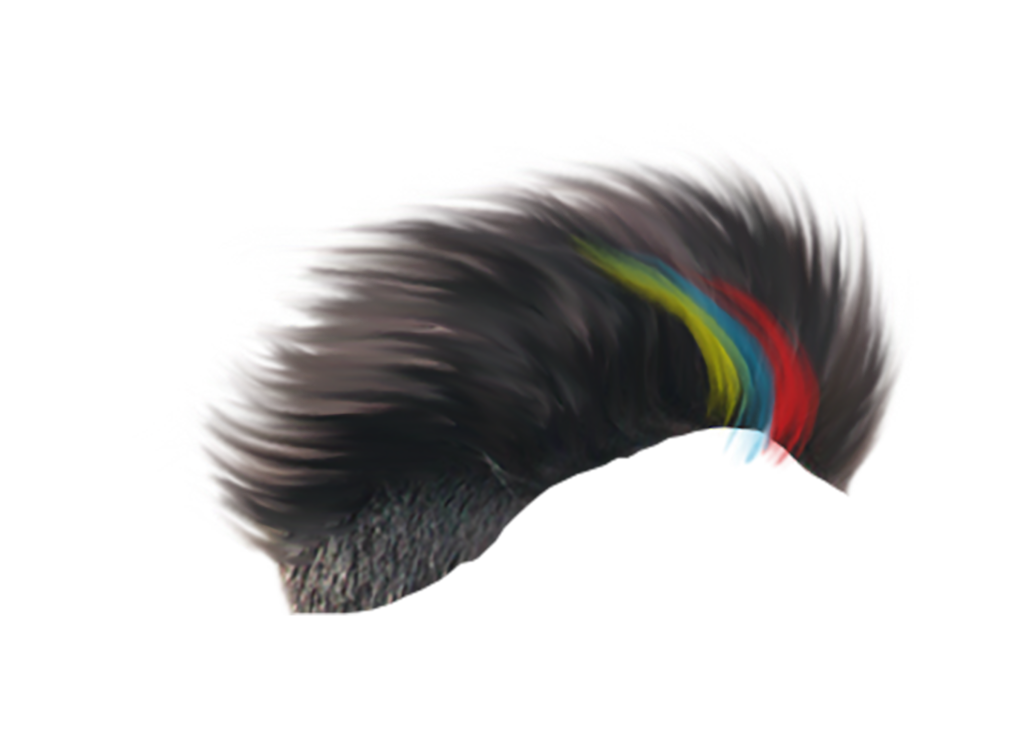 CB Hair png