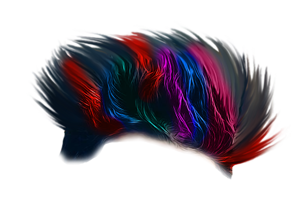 CB Hair Png