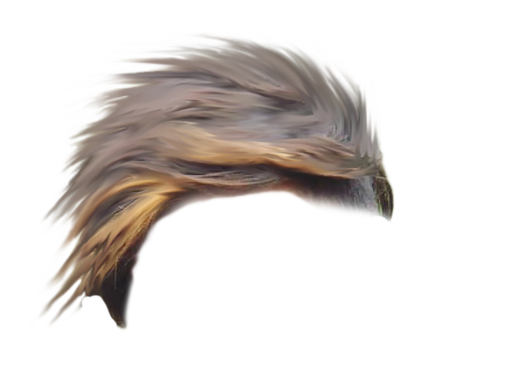 CB Hair Png