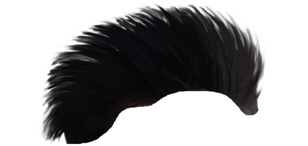CB Hair png