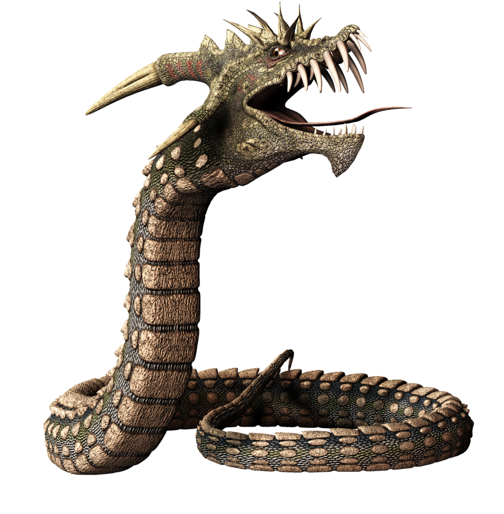 Animals png HD