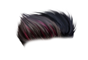 CB Hair Png