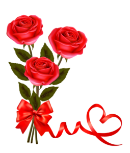 New Rose Png HD