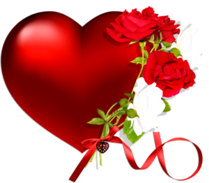 New Rose Png HD