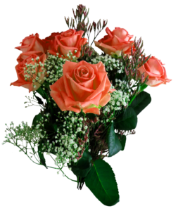 New Rose Png HD