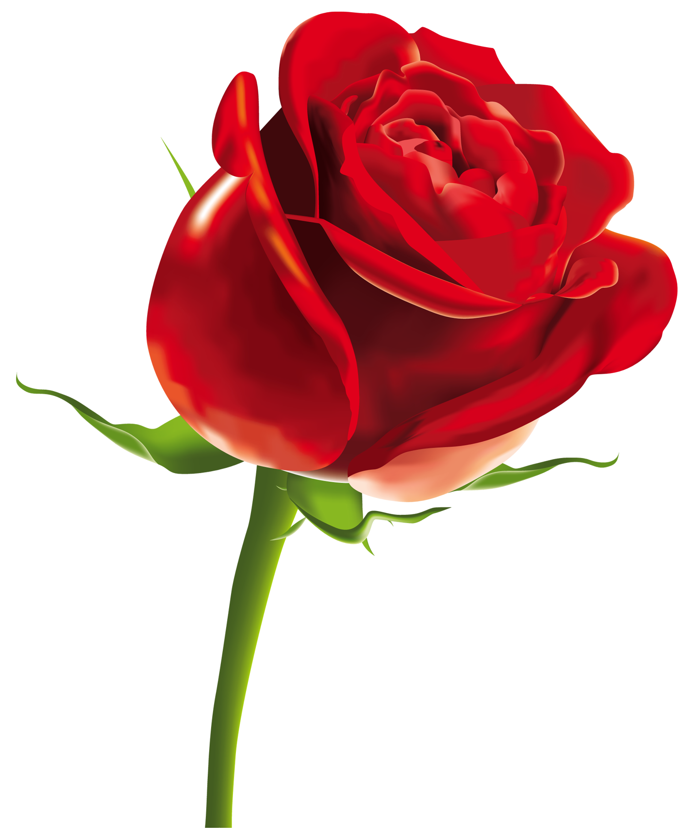 Rose Png HD New Collection For Picsart and Photoshop Editing