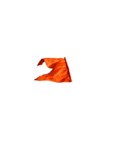 Bhagwa Jhanda Png