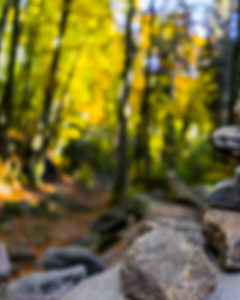 New CB Background HD