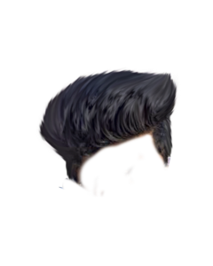 CB Hair Png