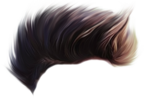 Hair png
