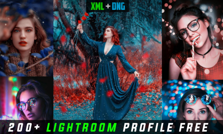 lightroom preset